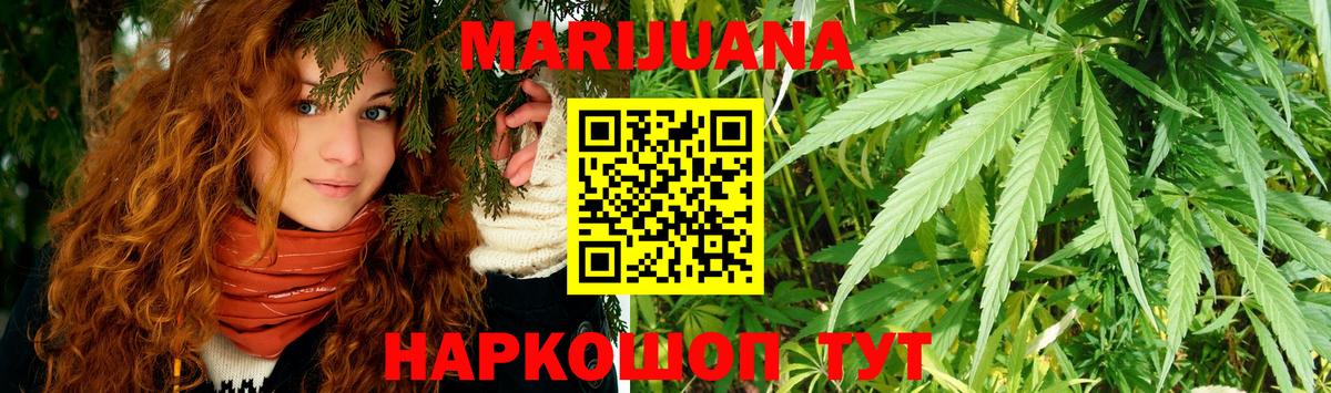 Каннабис планчик Алатырь