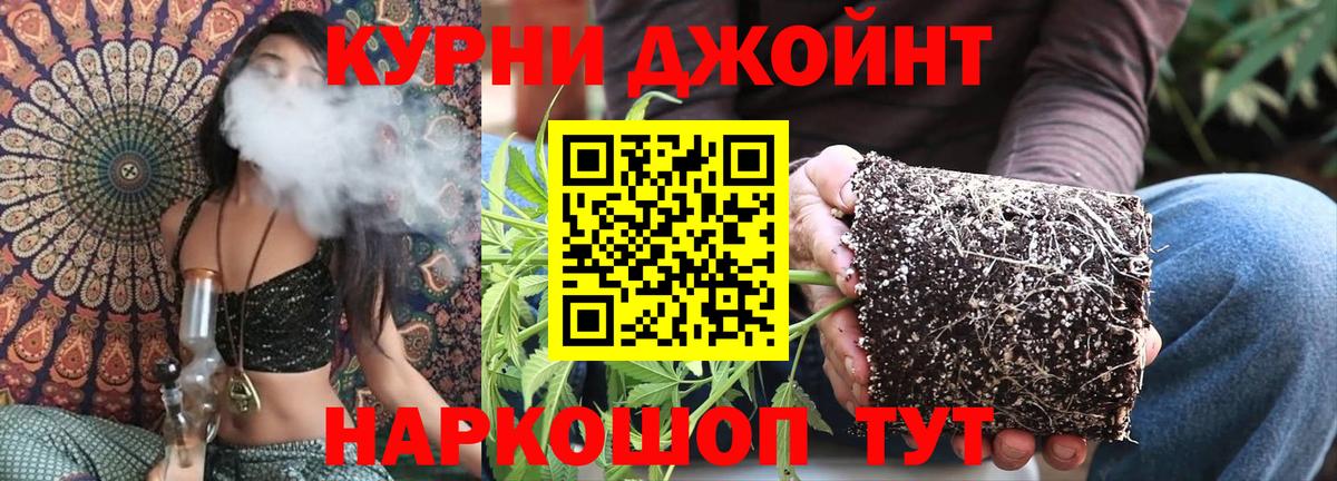 Бошки марихуана ГИДРОПОН  Вход с VPN  Алатырь  Бошки Шишки план  Канабис семена  Марихуана сатива 